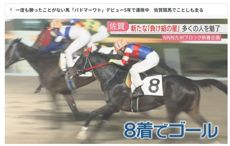 勝てなくても走り続ける――佐賀競馬で輝くパドマーワトの健気な挑戦