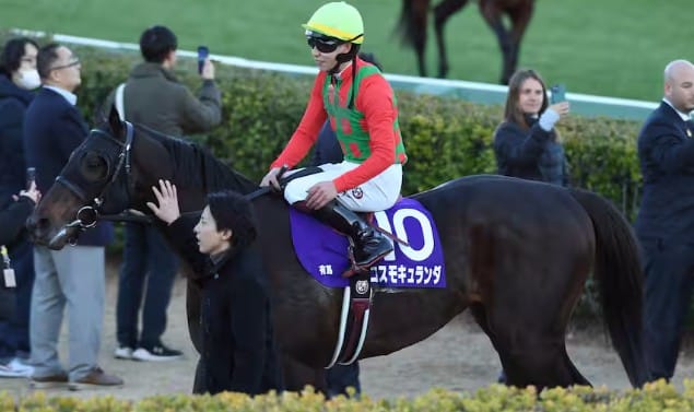 有馬記念で示した復活の証明――伏兵コスモキュランダ激走の舞台裏