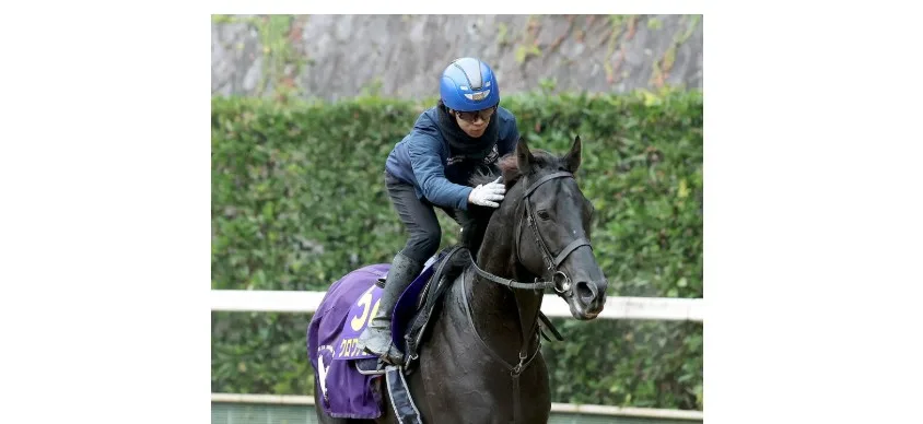 ダービー馬クロワデュノール、ドバイWCデーで“二刀流”登録の衝撃