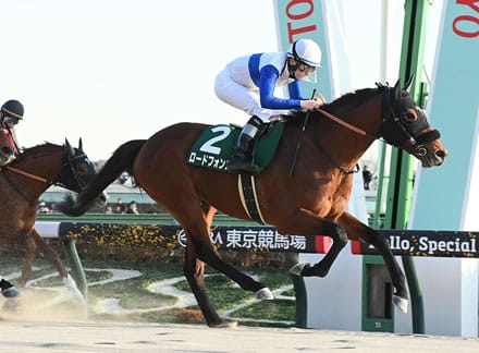 ロードフォンス