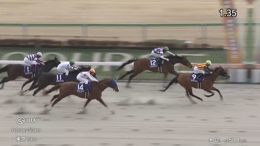 【フェブラリーステークス2026】出走馬・予想オッズ・騎手/熱き砂上のスピード対決