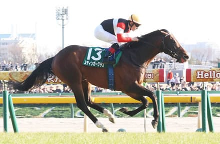 【ダイヤモンドS】スティンガーグラス転厩大成功