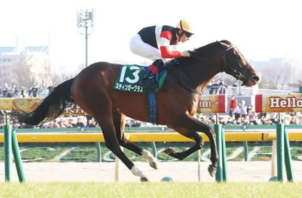 【ダイヤモンドS】スティンガーグラス転厩大成功