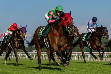 シランケド引退 チャンピオンズファームで繁殖入り