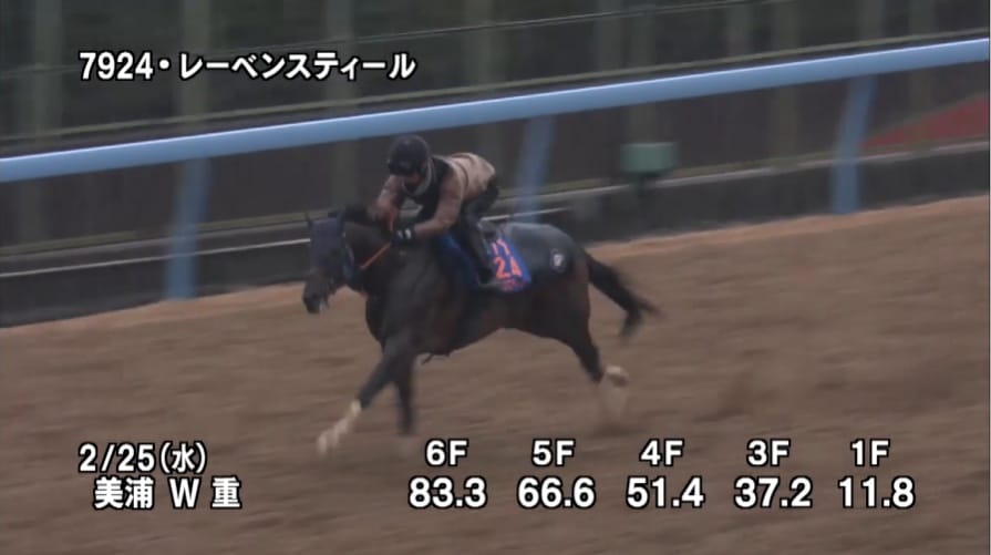 【中山記念2026】追い切り/調教を見てわかる事