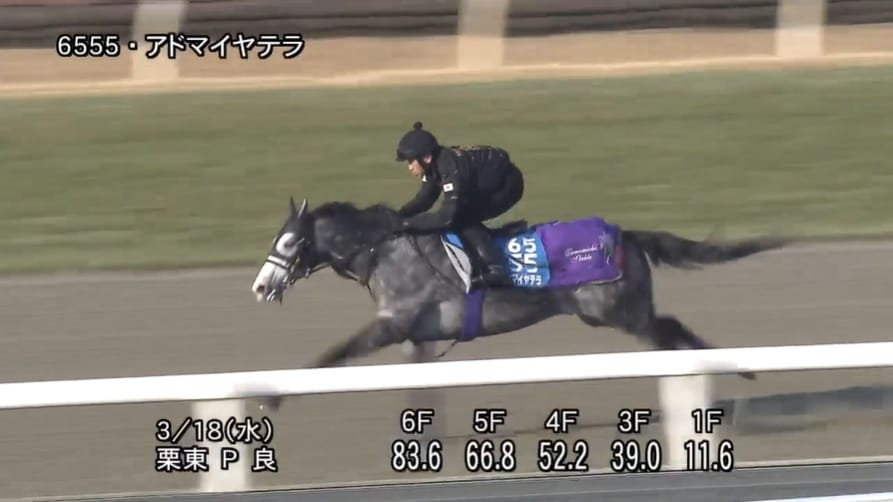 【最終追い切りで勝ち馬見えた】阪神大賞典2026“調教評価Sランク”はこの馬！一変気配の激走候補と危険な人気馬を完全公開