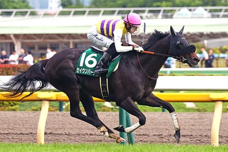 【中山記念】セイウンハーデスの１番人気とは何だったのか