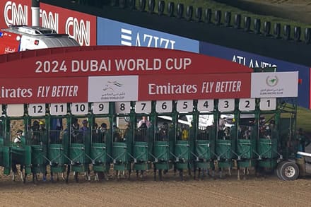 回避多数ドバイワールドカップ想定4頭立てへ！？