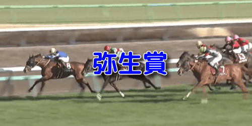 弥生賞の予想　買いデータ＆データ消去法まとめ