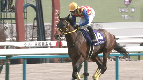 【衝撃】天皇賞馬テーオーロイヤルが電撃引退、種牡馬入りへ…長距離王者の突然の決断に競馬ファン驚き「ステイヤーの血は残せるのか」