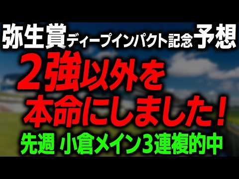 【弥生賞ディープインパクト記念 2026 最終予想】意外な本命馬と最終の買い目を徹底解説します