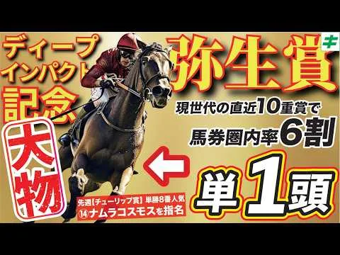 弥生賞 2026【穴馬/予想】先週ナムラコスモスに続け！３歳戦は自信あり！迷わず「☆あの馬」で勝負