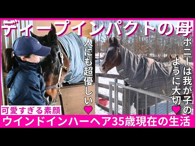 【人間なら100歳超】ディープインパクトの母ウインドインハーヘアが35歳で元気な姿…ノーザンホースパークで暮らす“名牝”の現在と意外な性格・恋愛事情とは？